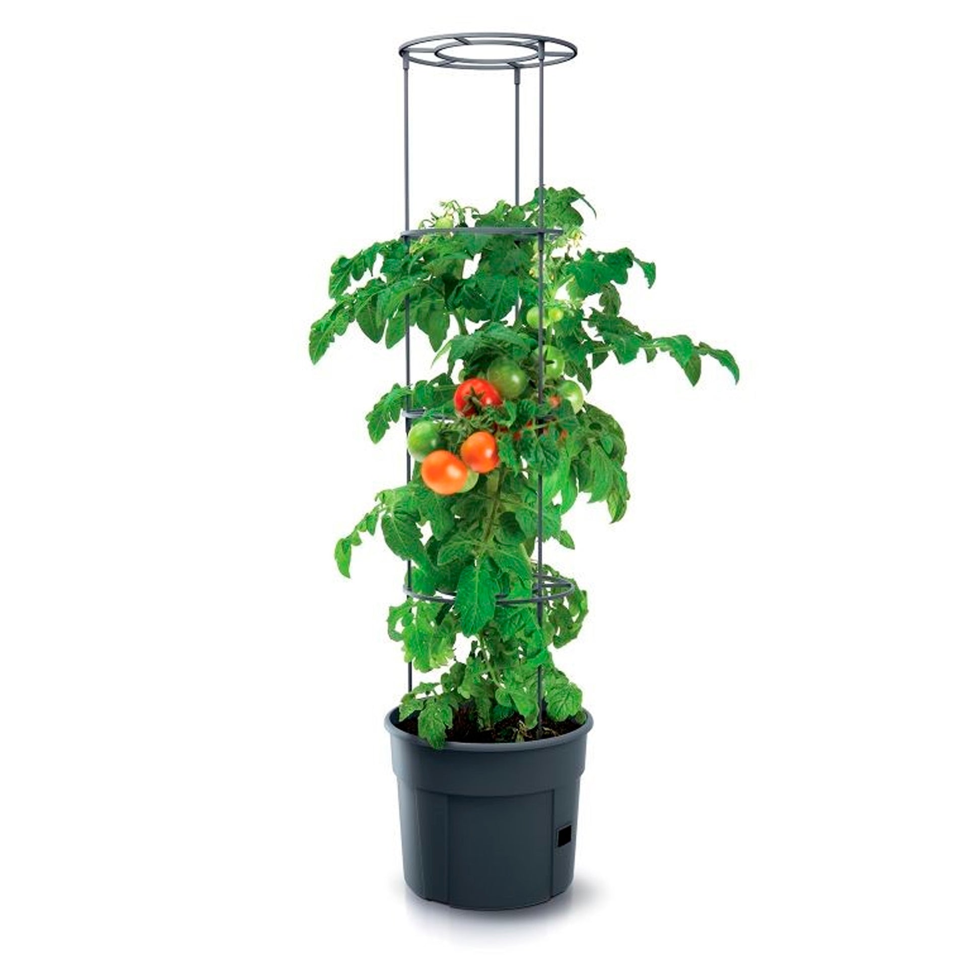 Grow Pot For Tomatoes "grow 1", Ø 295 Mm, Anthracite_2