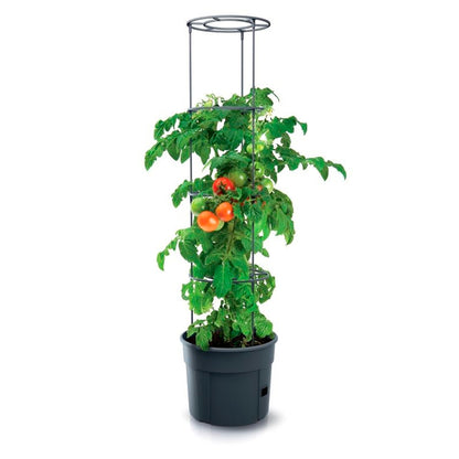 Grow Pot For Tomatoes "grow 1", Ø 295 Mm, Anthracite_2