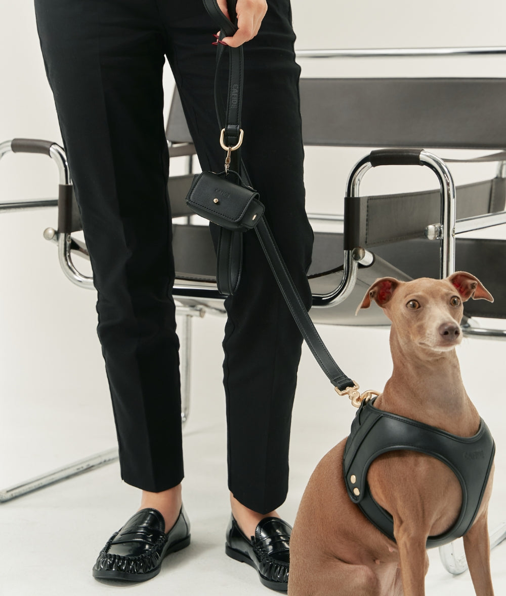 Cafide Arnés De Cuero Vegano Negro. Modelo Jala._2