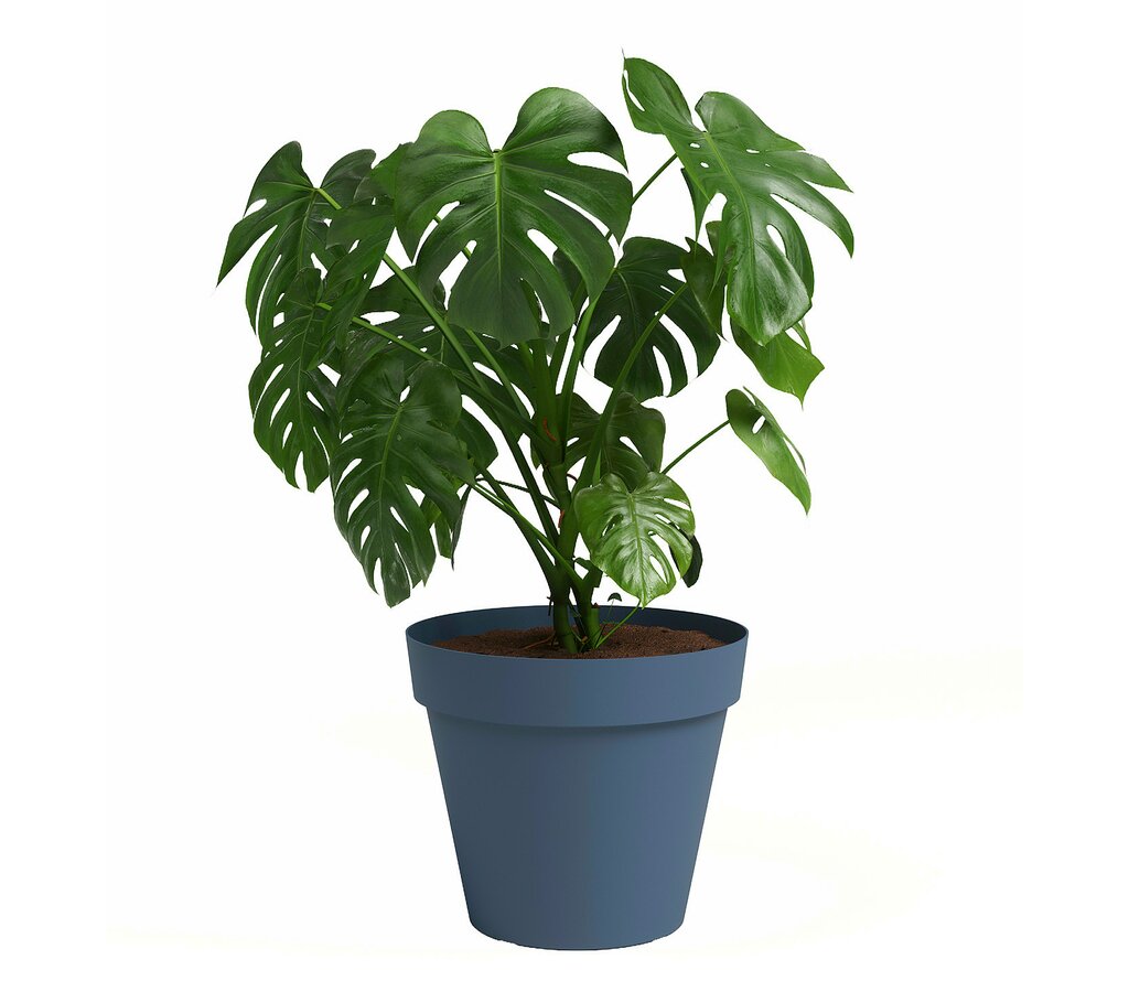 Artevasi Macetero De Plástico Capri Azul Grisáceo 30cm_1