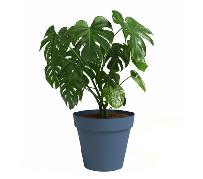 Artevasi Macetero De Plástico Capri Azul Grisáceo 30cm_1