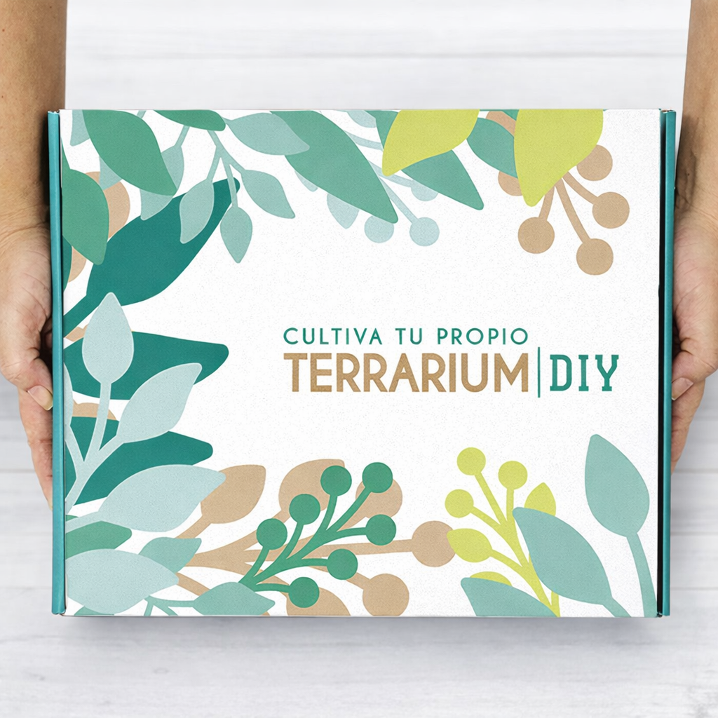 Terrarium Live Diy - Incluye Plantas Y Musgo_2