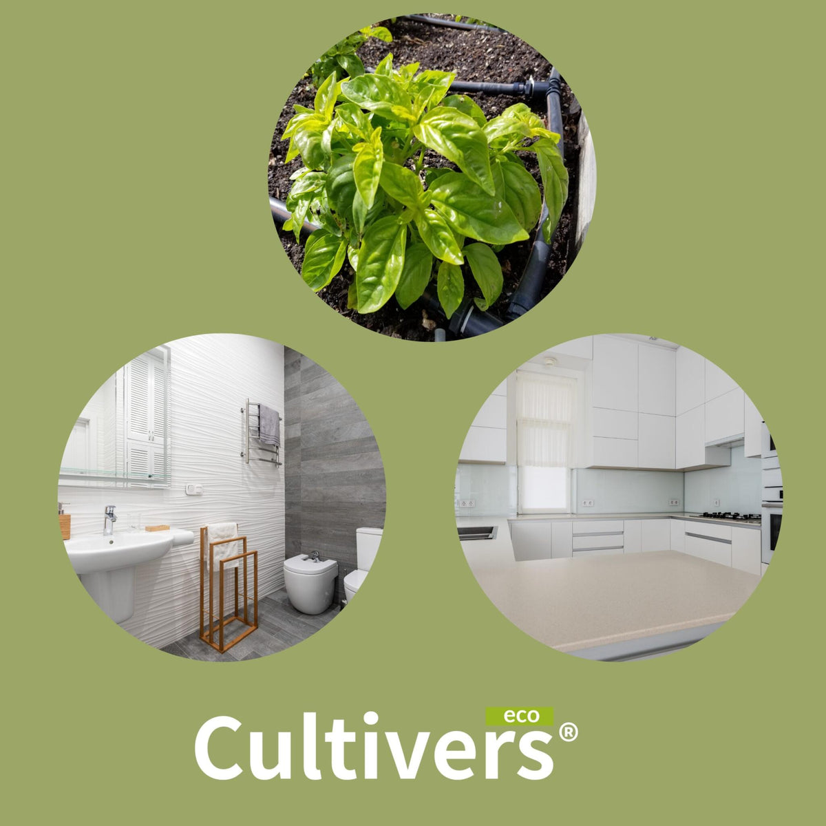 Cultivers Ácido Cítrico Anhidro 100% Puro 2,5 Kg | Limpiador Multiusos Ecológico | Corrector De Ph Para Agricultura…_2