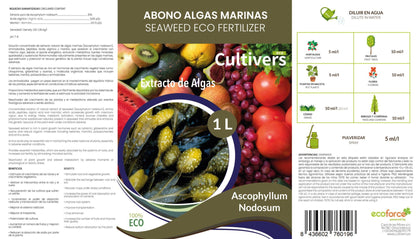 Cultivers Fertilizante Algas Marinas Líquido 5 L. Abono Orgánico Para Plantas Extracto De Ascophyllum Nodosum…_1