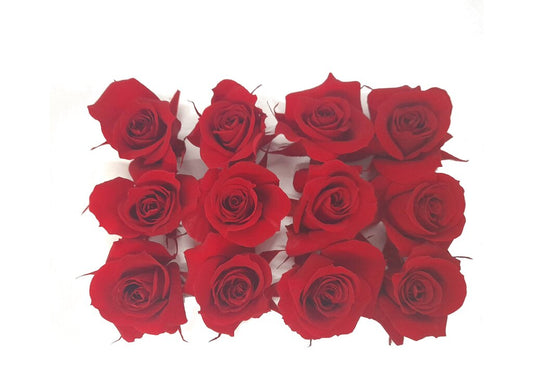 Mundo Eterno Rosas Rojas Preservadas 12 Unidades 3-4cm_0
