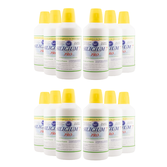 Silicium 7 Pro – Pack Ahorro 12l | Tratamiento Anual 🔥_0