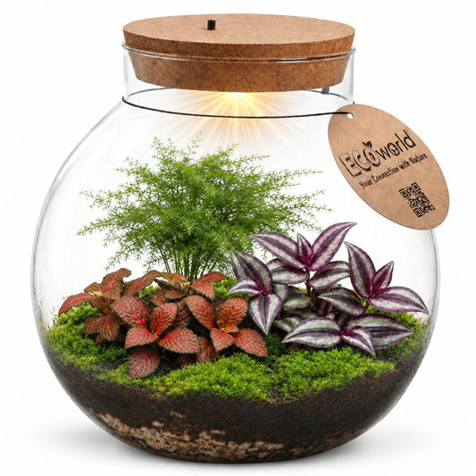 Terrario Grande - Con Luz Led - Ø25 Cm - Ecosistema - Cristal - Diy_0