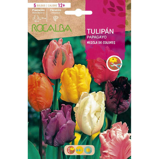 Bulbo Tulipán Papagayo mezcla 5 uds Rocalba