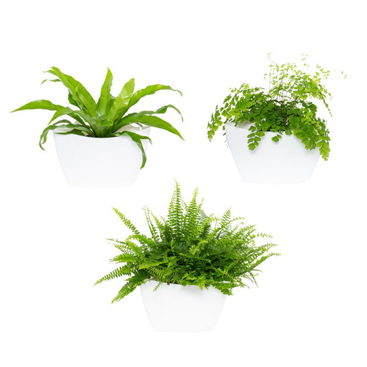 Jardín Vertical Modular Citysens Con Riego Automático De 3 Maceteros – Blanco, Polipropileno 100% Reciclado_0