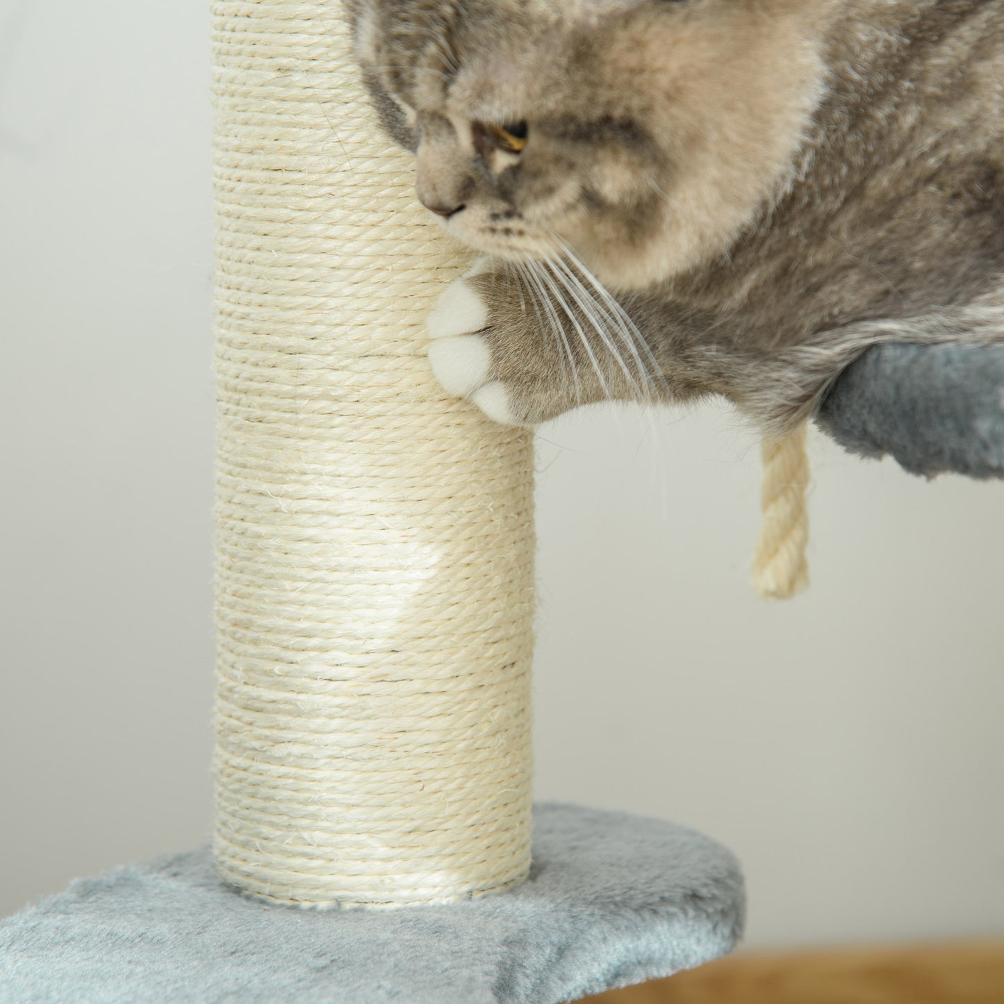 Pawhut Árbol Rascador Para Gatos Con Cama De Felpa Y Postes De Cuerda De Sisal_4