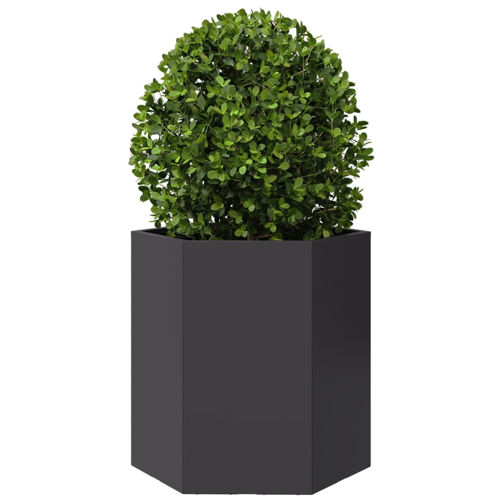 Jardinera Hexagonal Acero Negra 46x40x45 Cm_2