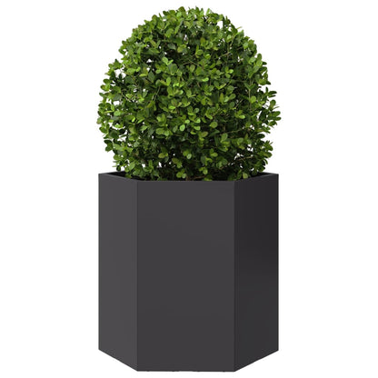 Jardinera Hexagonal Acero Negra 46x40x45 Cm_2