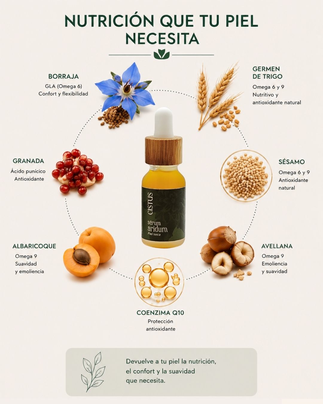 Sérum facial nutritivo piel seca y sensible | Borraja, Granada y Q10 | ARIDUM 15 ml_2