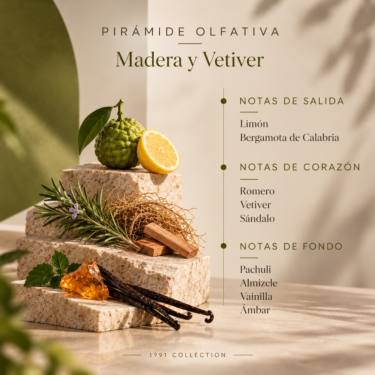 Ambientador Mikado Madera y Vetiver SYS Aromas 100 ml | Colección 1991 | Aroma Amaderado y Cítrico | Sofisticado_4