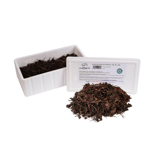 Lombrices rojas californianas para vermicompost Multihuerto 500 ud