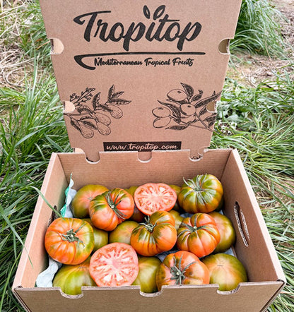 Caja De Tomates Raf De Temporada Tropitop Caja De 2kg_1