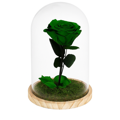 Mundo Eterno Rosa En Cúpula Verde 12x20cm_1