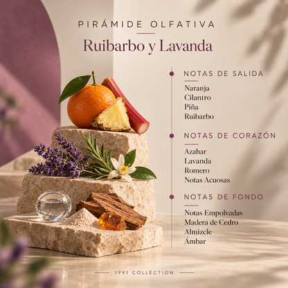 Ambientador Mikado Ruibarbo y Lavanda SYS Aromas 100 ml | Colección 1991 | Aroma Floral y Cítrico | Relajante_3