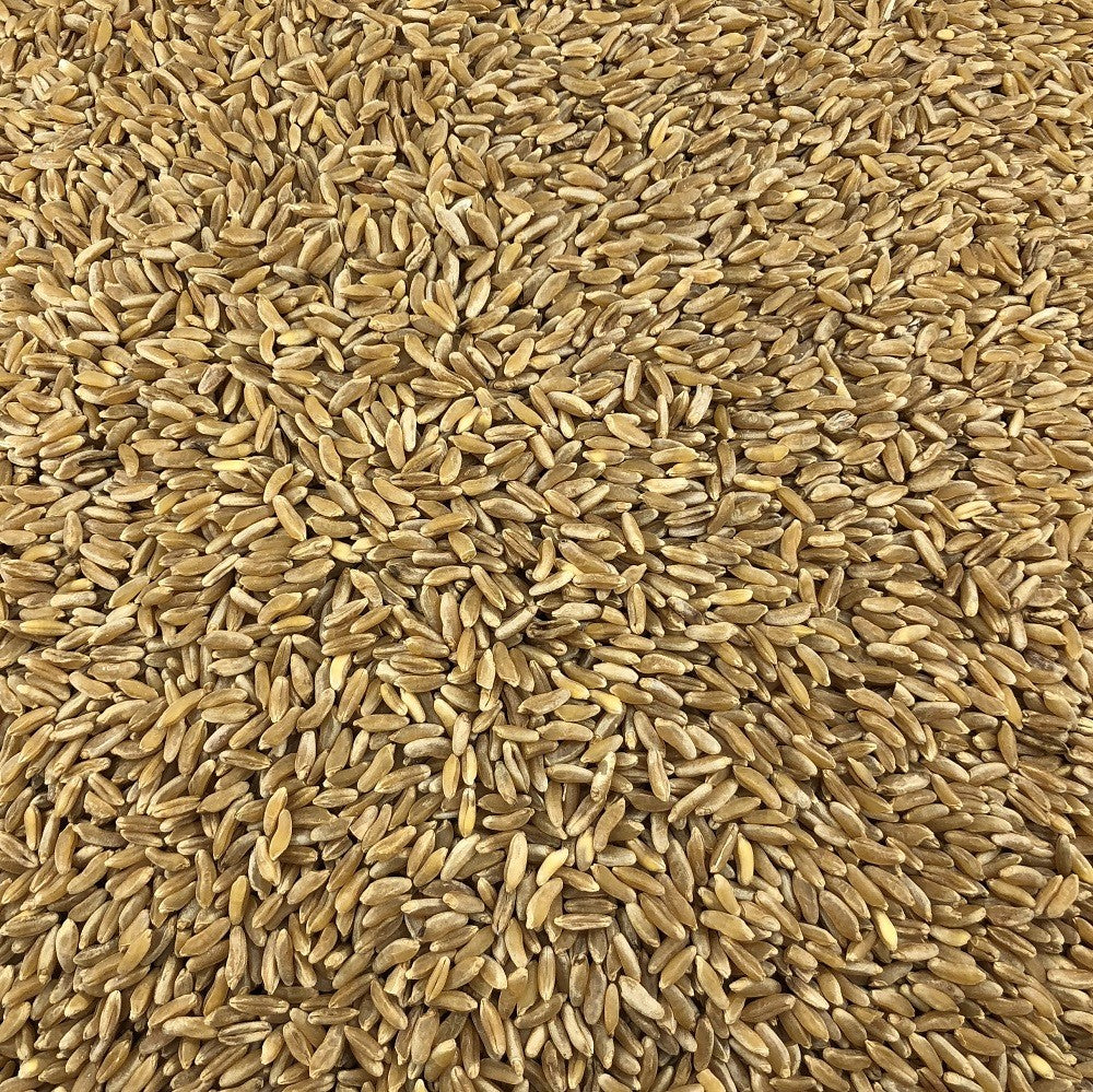 Trigo Antiguo Ecológico A Granel 10 Kg_2