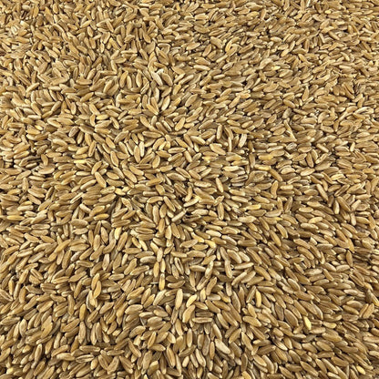 Trigo Antiguo Ecológico A Granel 1 Kg_2