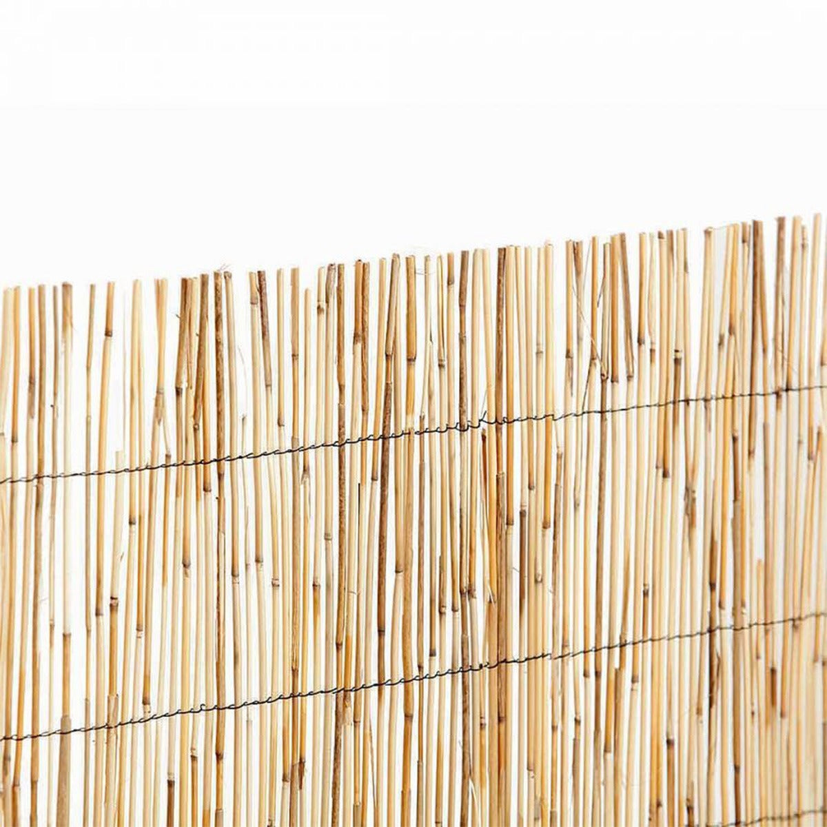 Cañizo bambú fino pelado Reedcane Nortene 1 x 5 m