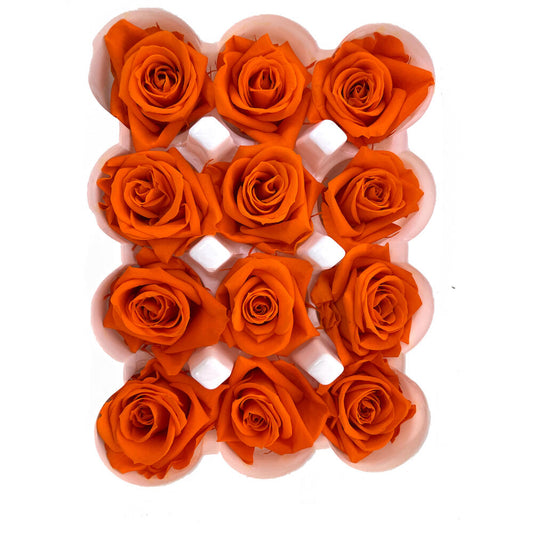 Mundo Eterno Rosas Preservadas Naranjas 12 Unidades 4cm_0