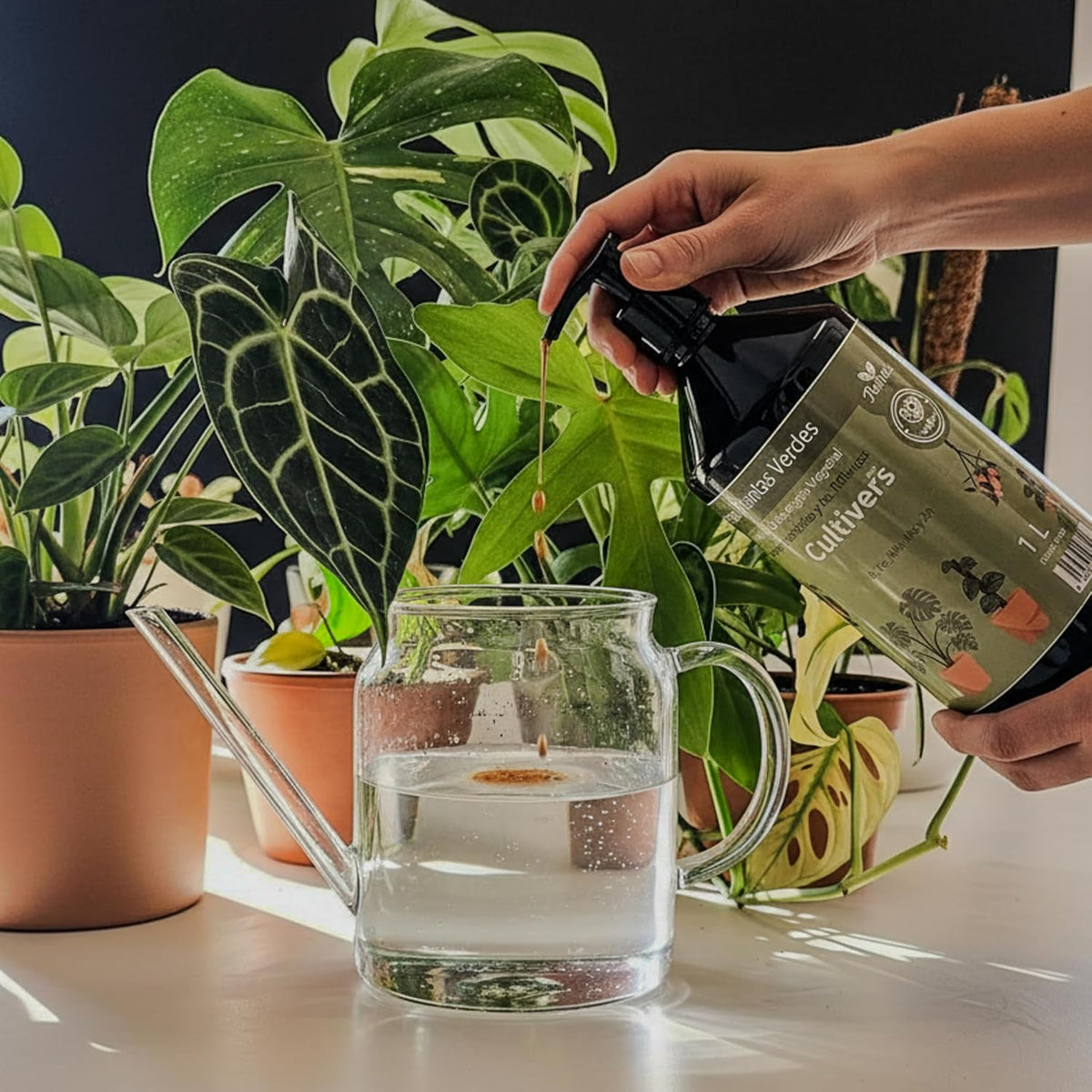 Cultivers Abono Plantas Verdes Líquido 1 L Para Interior Y Exterior Npk 3-4-4 Con Aminoácidos Y Ácidos Fúlvicos |…_1