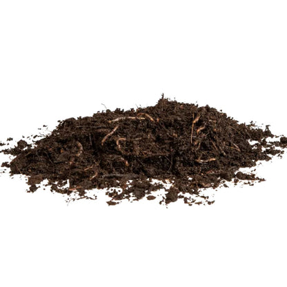 Lombrices rojas californianas para vermicompost Multihuerto 150 ud