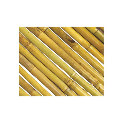 Cañizo Bambu natural Barnizado Bambooflex Nortene 1x3 m (Reacondicionado)