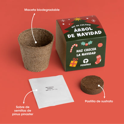 Kit Árbol de Navidad para Cultivar en Casa - Pino de Navidad, Regalo Original - Resetea_1
