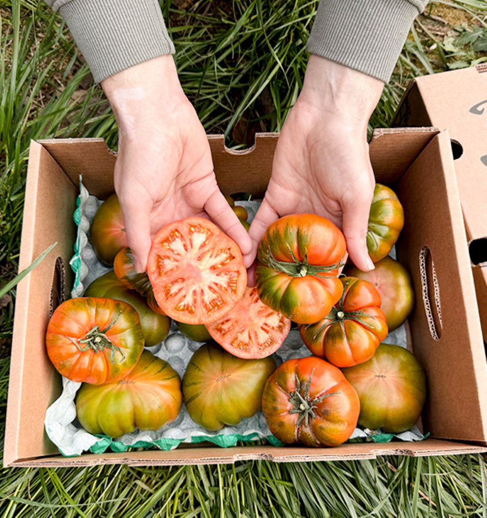 Caja De Tomates Raf De Temporada Tropitop Caja De 2kg_5