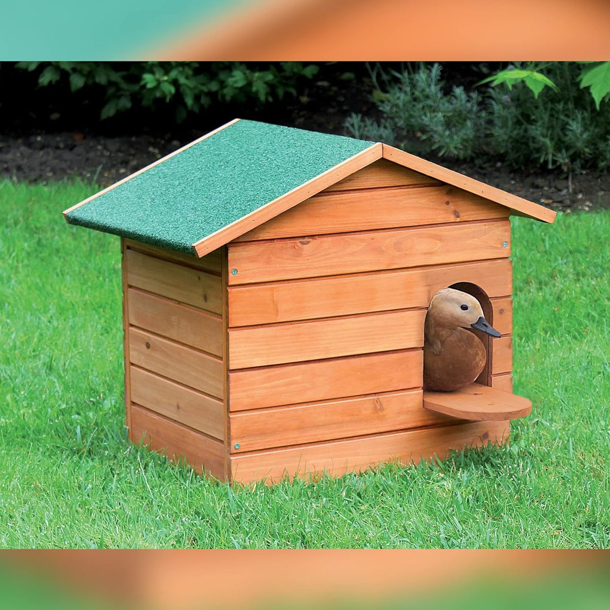 Caseta De Madera Para Patos - Nido Para Patos Pequeño_1