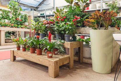 Expositor Escalera De Madera Podium Hortalia_3