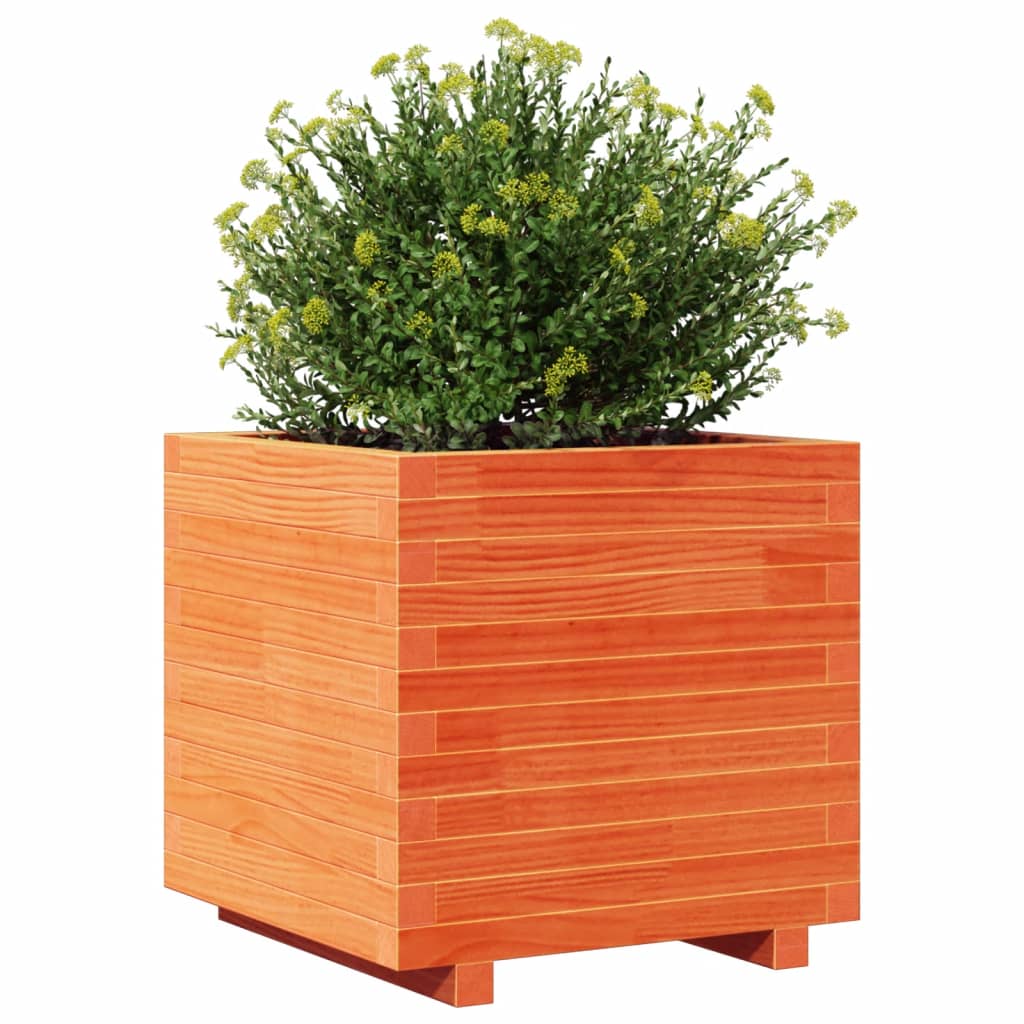 Jardinera Madera Maciza De Pino Marrón Cera 50x50x49,5 Cm_3