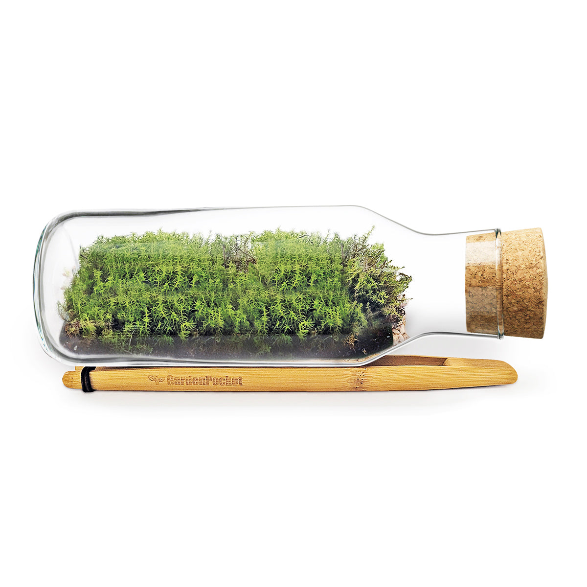 Mossarium Diy - Inlcuye Musgo Natural_0
