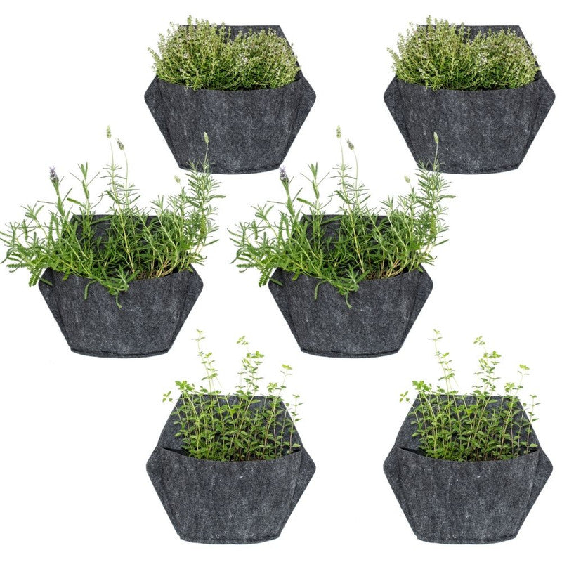 Jardín Vertical Modular Citysens Con Riego Manual De 6 Maceteros – Blanco Con Funda Téxtil Reciclada_3