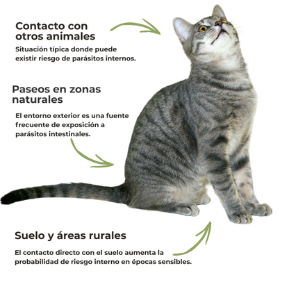 Protección intestinal ECO para perros y gatos – Lombrices y parásitos internos – 100 g_3