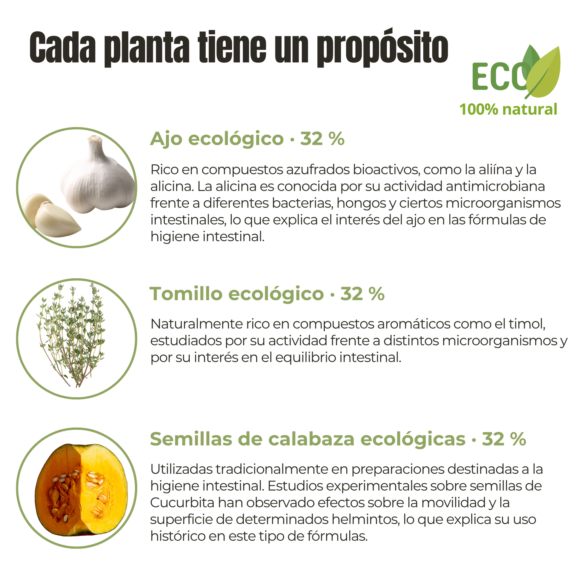 Protección intestinal ECO para perros y gatos – Lombrices y parásitos internos – 100 g_2