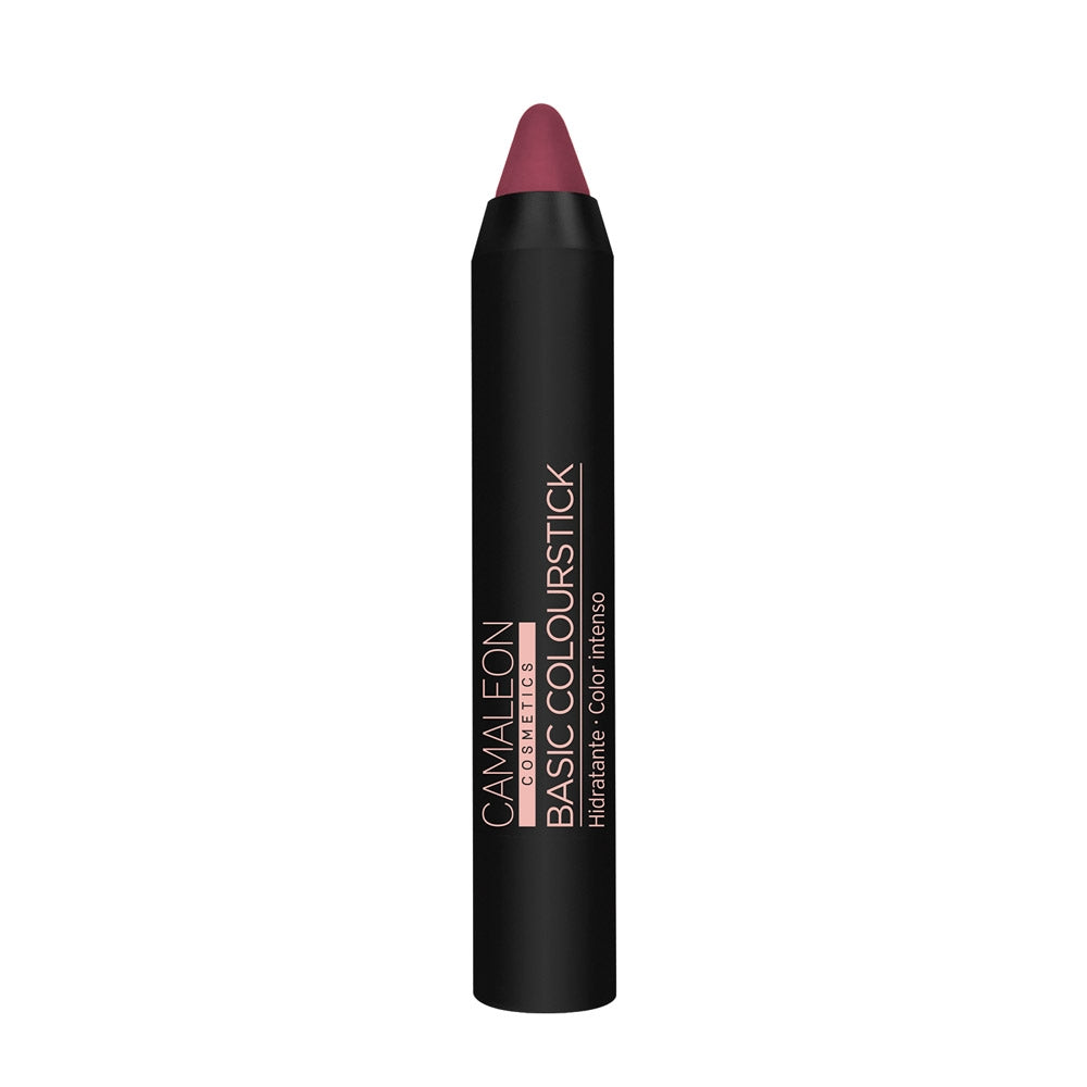 Pintalabios Nude Marrón Basic Colourstick 4g Camaleon Cosmetics_0