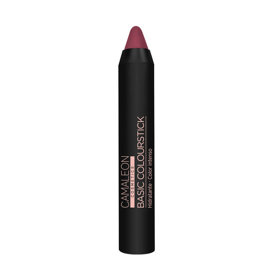 Pintalabios Nude Marrón Basic Colourstick 4g Camaleon Cosmetics_0