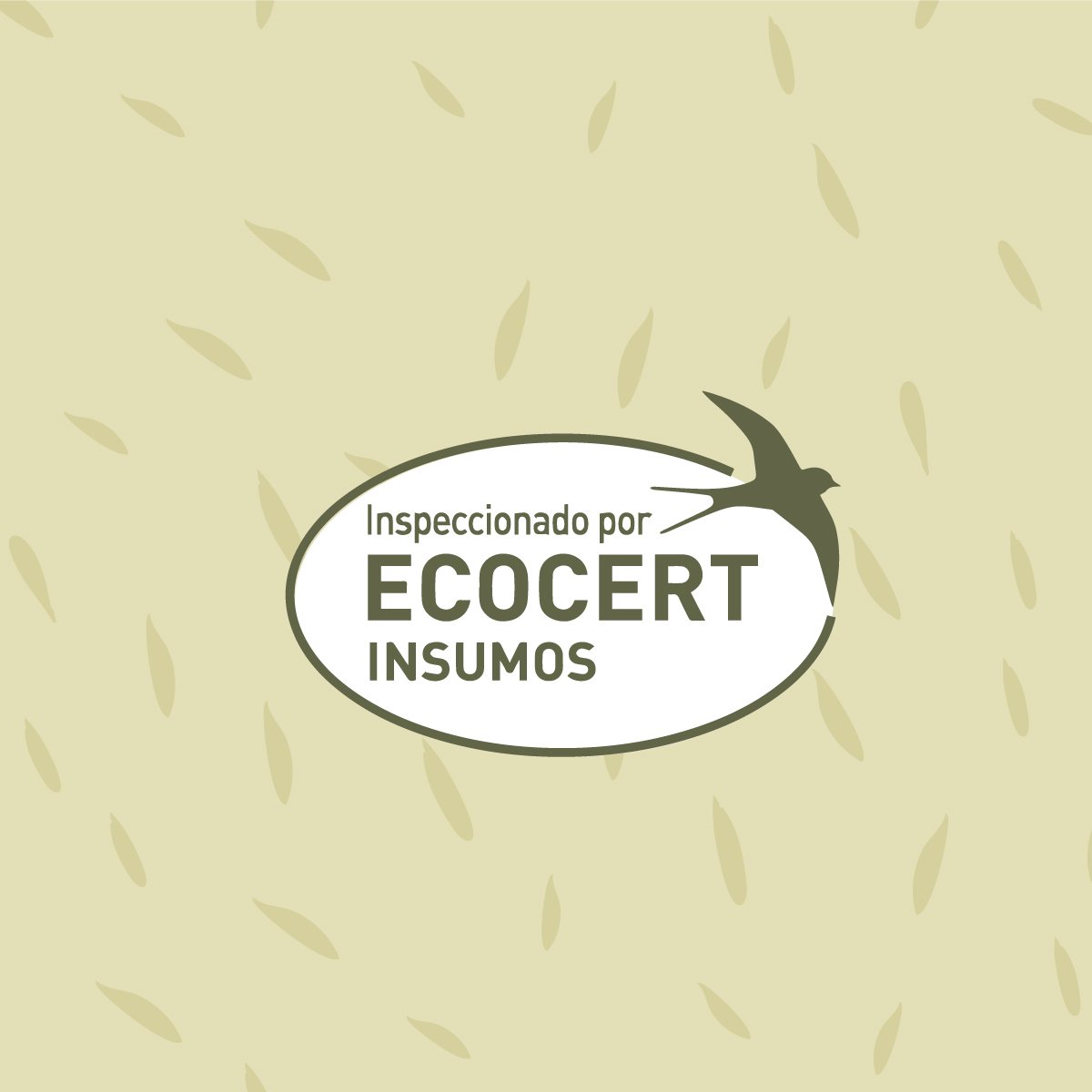 Cultivers Tierra De Diatomeas Ecológica Micronizada 10 Kg | Polvo Ultrafino De Origen Natural | Producto Certificado…_2
