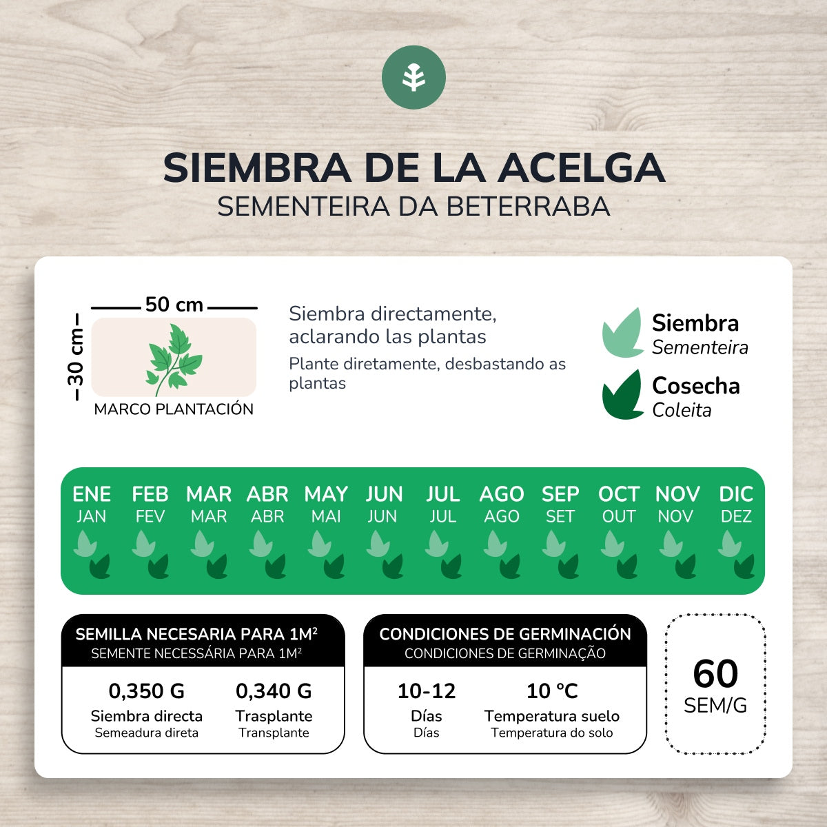 Semillas de Acelga Verde ecológicas Planeta Huerto