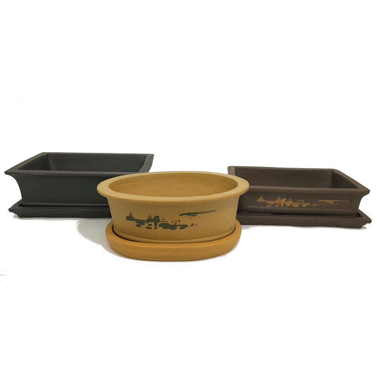 Tiesto Bonsai Con Plato Nanjing Premium 30cm (3 Colores)_0