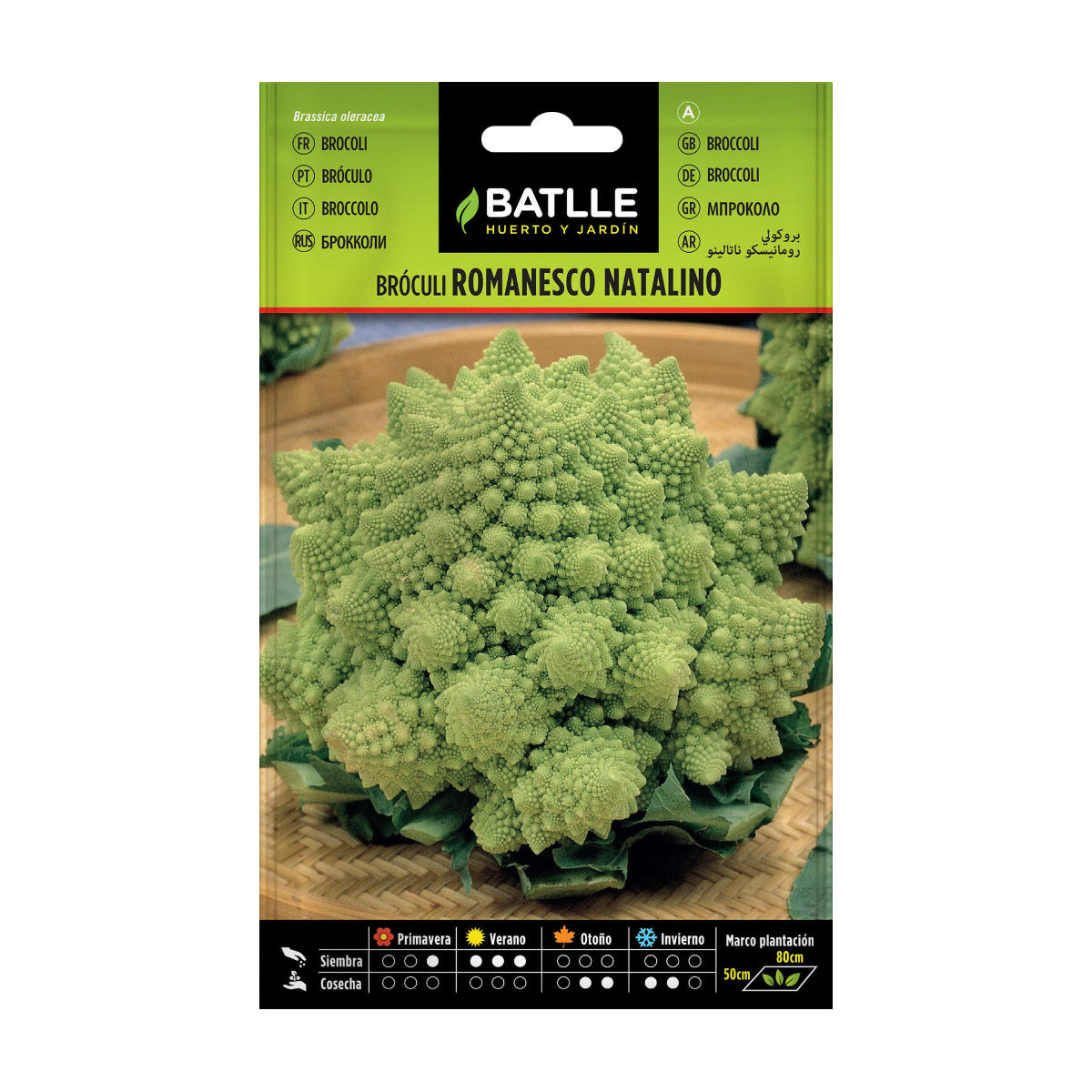 Semillas de Brócoli Romanesco Natalino Batlle