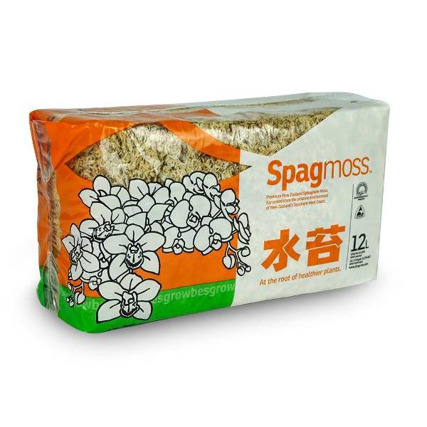 Sustrato musgo Sphagnum para bonsái 150 g