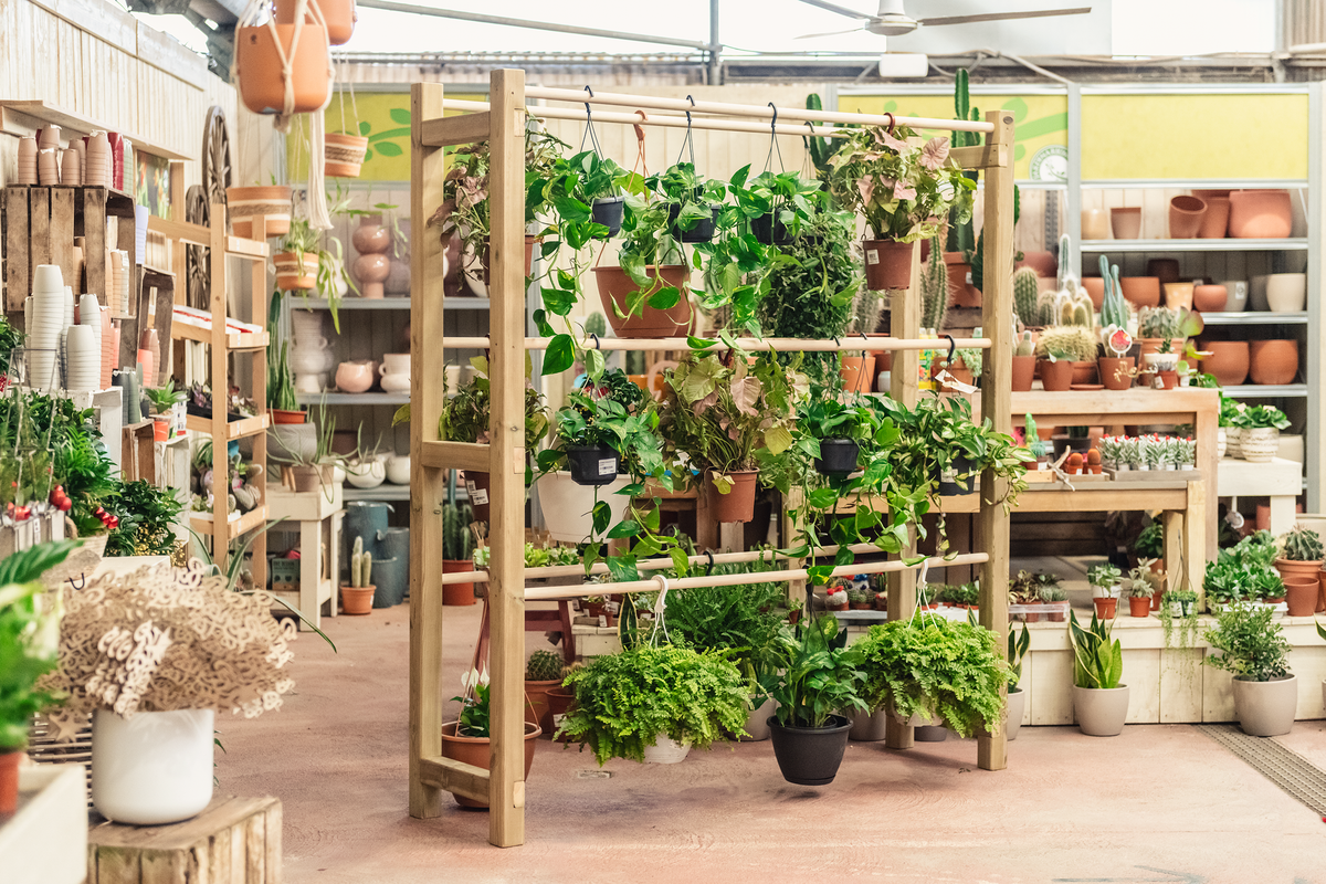 Expositor De Madera Para Plantas Colgantes Pothus Hortalia_1