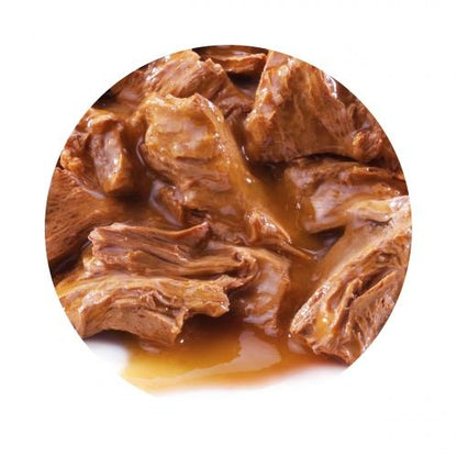 Pack 10 PRO PLAN Gato Delicate Pescado del Océano 85 g