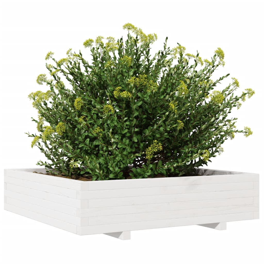 Jardinera Madera Maciza De Pino Blanco 100x100x26,5 Cm_3
