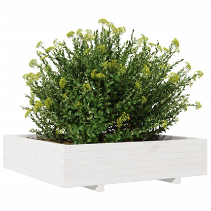 Jardinera Madera Maciza De Pino Blanco 100x100x26,5 Cm_3