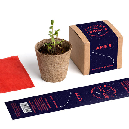 Cultivos del Zodiaco – Aries, Kit de Cultivo con Semillas de Cilantro - Resetea_4